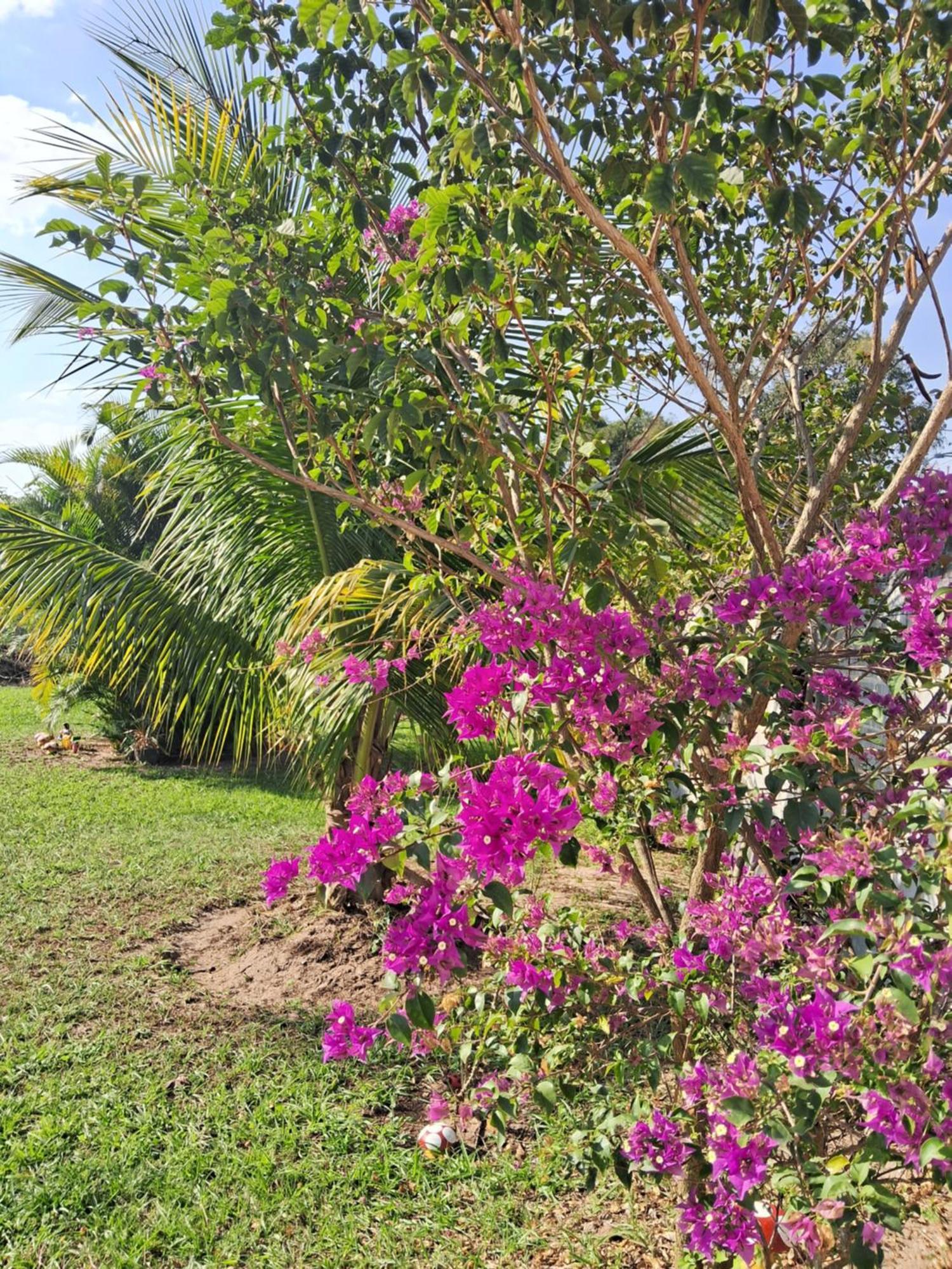 Pouso Zen Villa Araruama Ngoại thất bức ảnh
